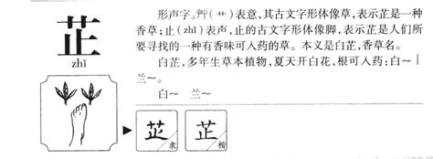 芷欣的意思|芷欣这两字的含义，芷欣这个名字的含义解析